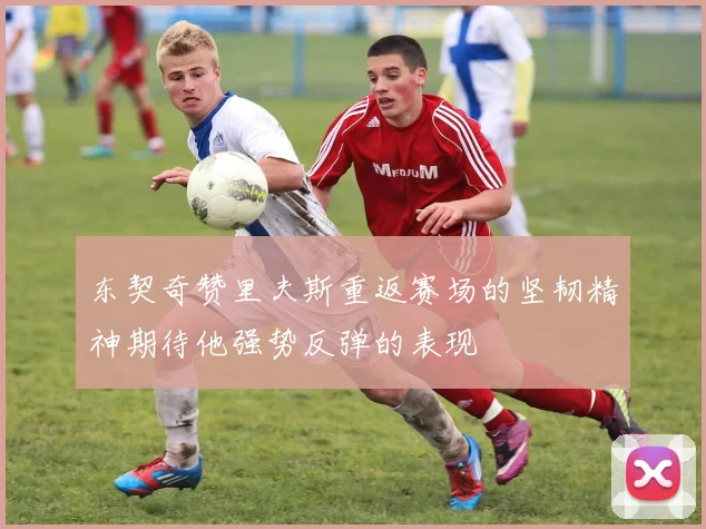 东契奇赞里夫斯重返赛场的坚韧精神期待他强势反弹的表现